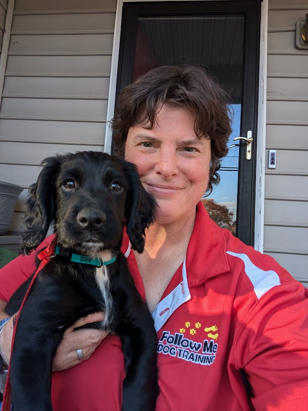 Renée Lamoureux training dogs