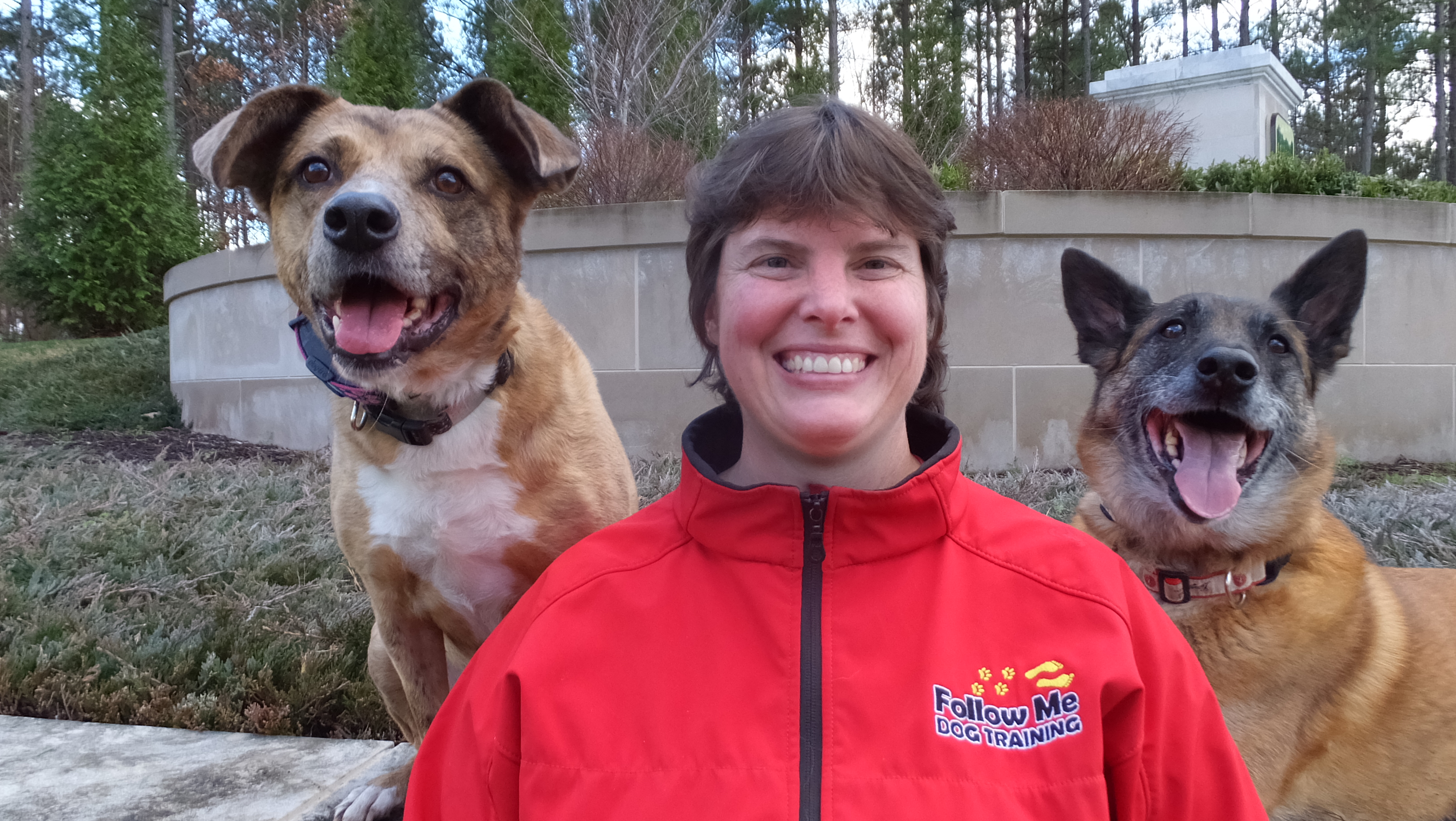 Follow Me Dog Training in action